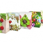 Dovanų maišelis 23x18cm (vnt)